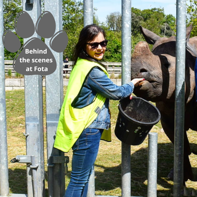 20190520_174344_0000