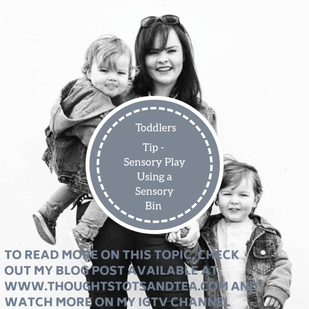 A Sensory Bin for Two – The Whys and&nbsp;Whats
